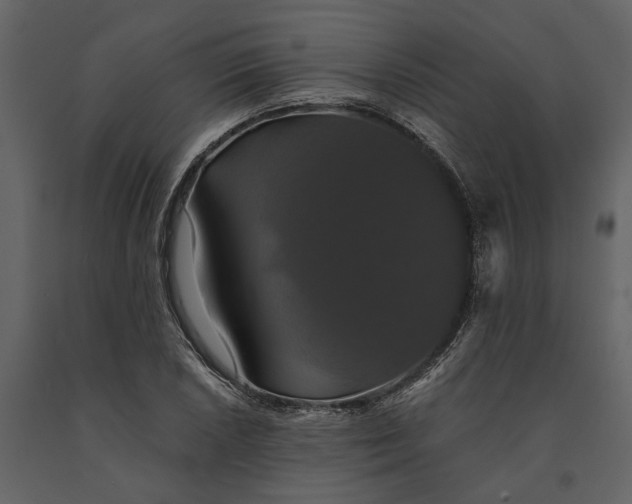 X0000091081026200708271232