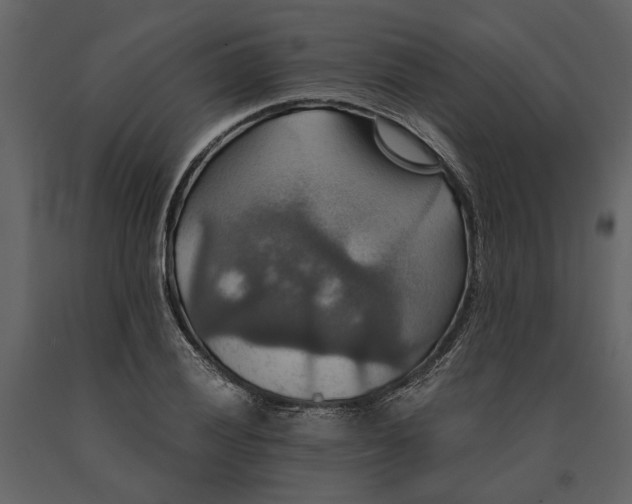 X0000091081028200708271232