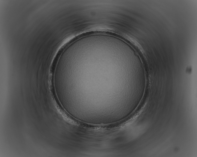 X0000091081029200708271232