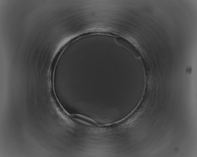 X0000091081030200708271232