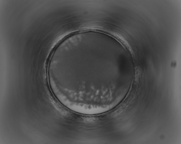 X0000091081031200708271232