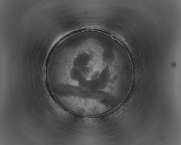 X0000091081032200708271232