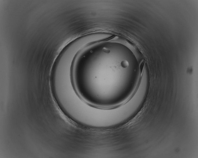 X0000091081034200708271232