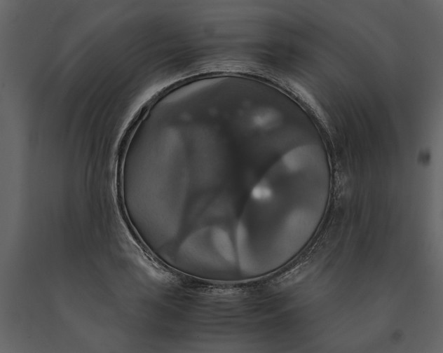 X0000091081035200708271232