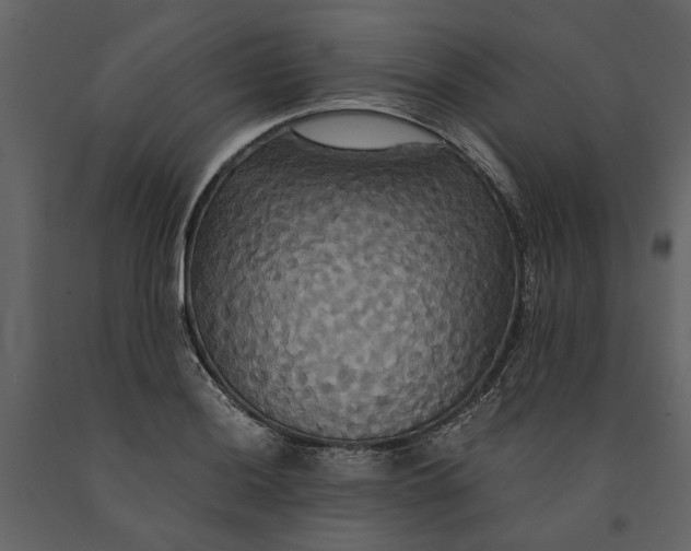 X0000091081036200708271232