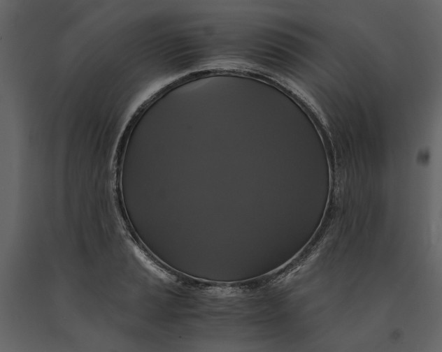 X0000091081037200708271232