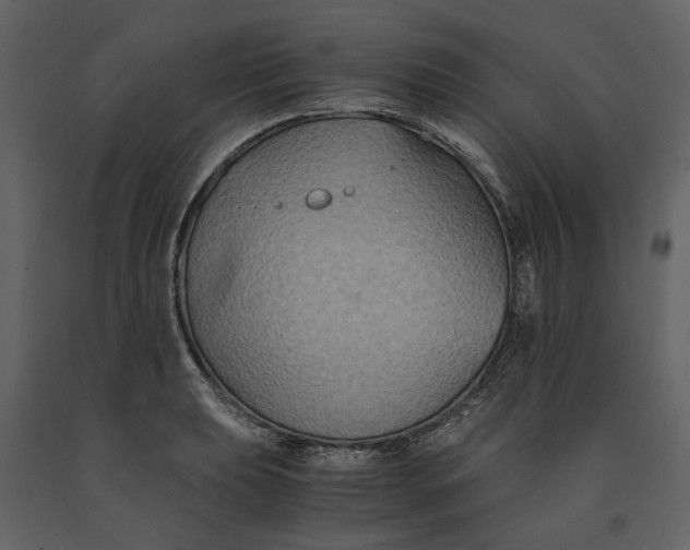 X0000091081039200708271232