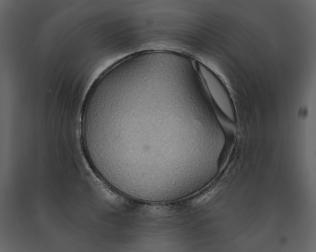 X0000091081040200708271232