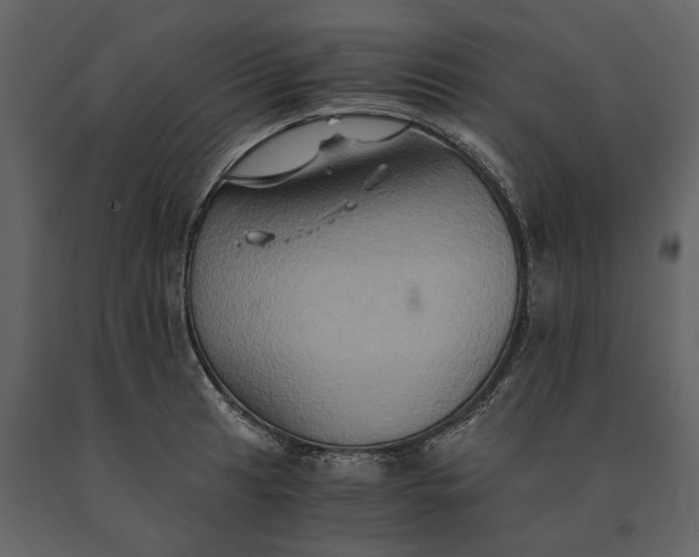 X0000091081041200708271232