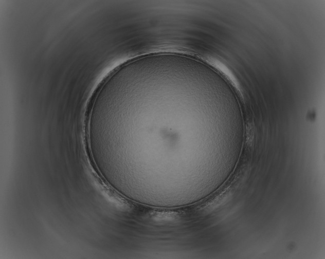 X0000091081043200708271232