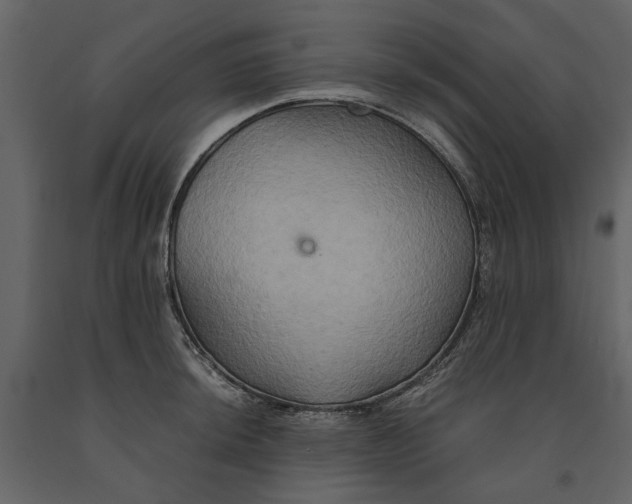 X0000091081044200708271232