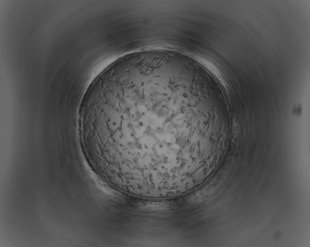 X0000091081047200708271232