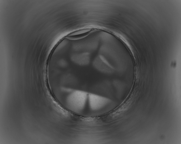 X0000091081048200708271232