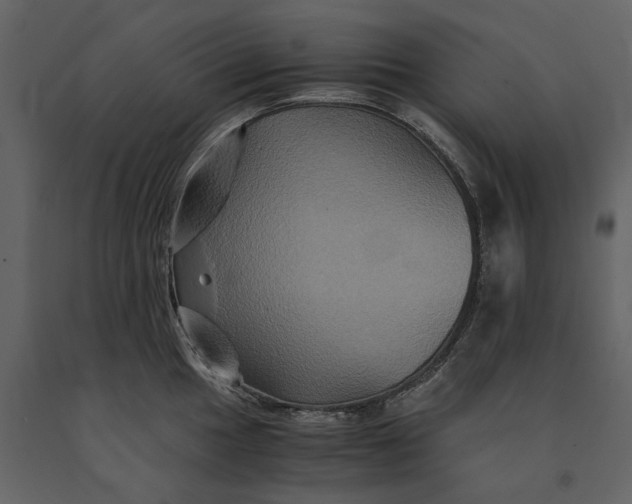 X0000091081049200708271232