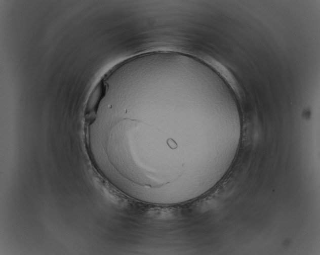 X0000091081051200708271232