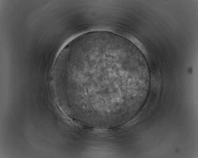 X0000091081052200708271232