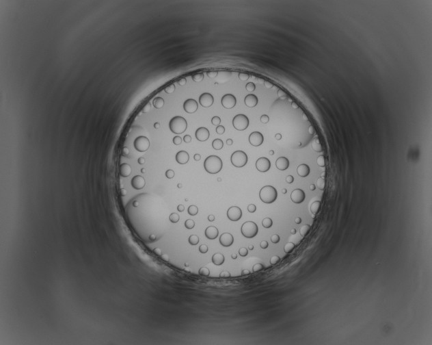 X0000091081053200708271232