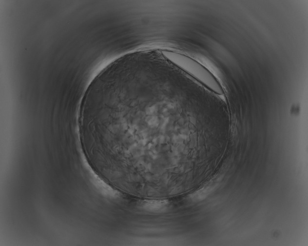 X0000091081055200708271232