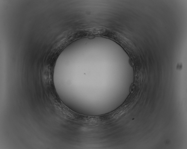 X0000091081058200708271231