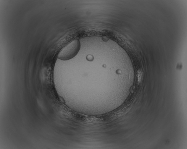 X0000091081059200708271231