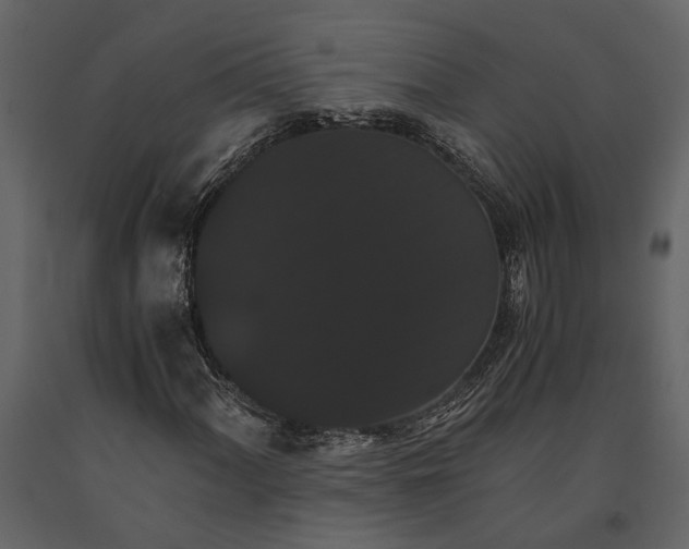 X0000091081060200708271231