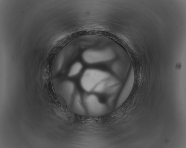 X0000091081063200708271231