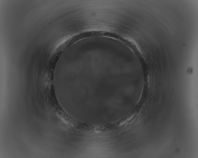 X0000091081064200708271231