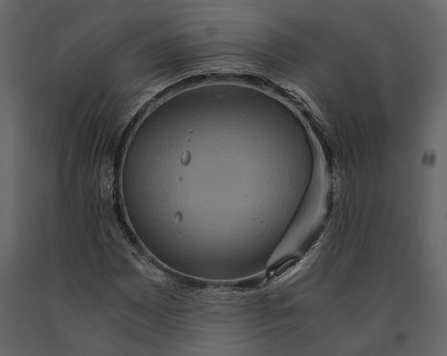 X0000091081065200708271231