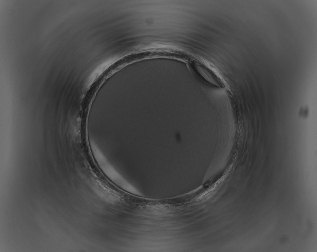 X0000091081066200708271231