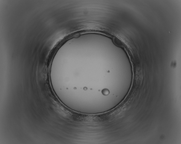 X0000091081067200708271231