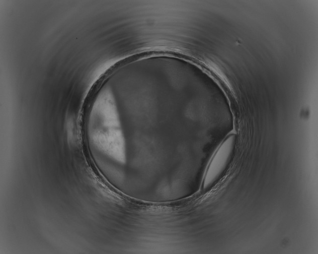 X0000091081068200708271231