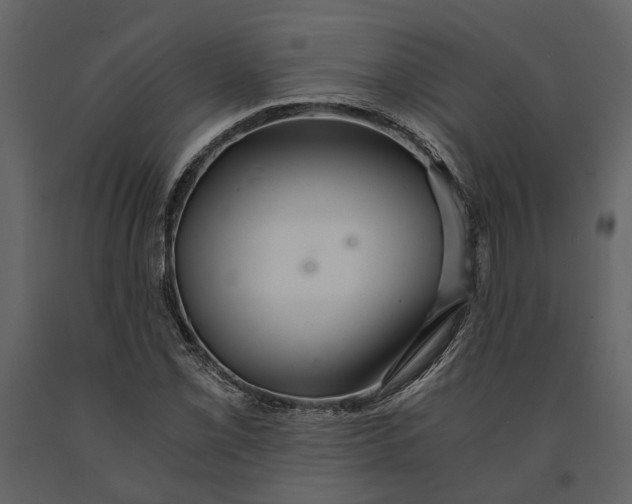 X0000091081069200708271231