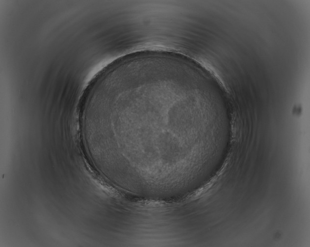 X0000091081070200708271231