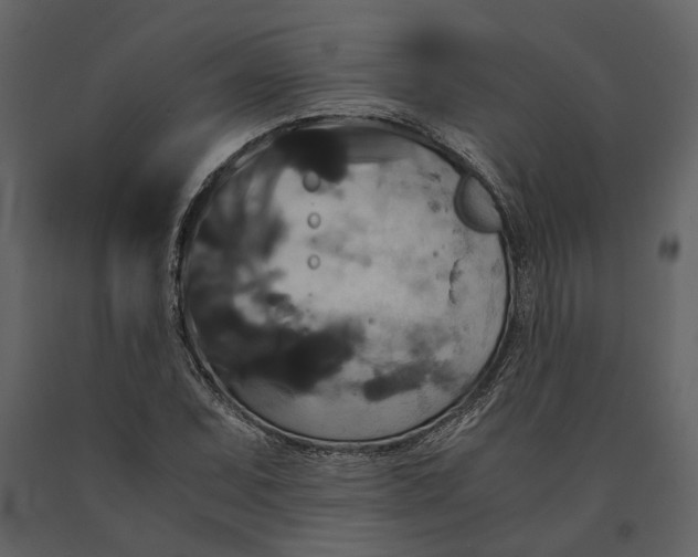 X0000091081071200708271231