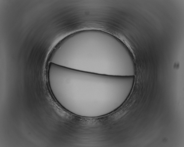 X0000091081072200708271231