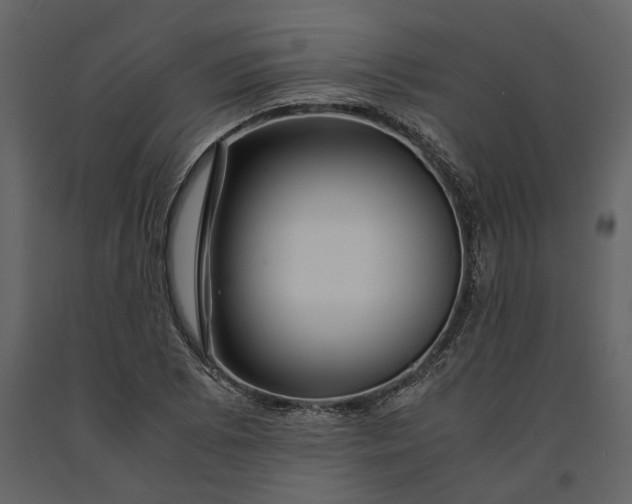 X0000091081073200708271231