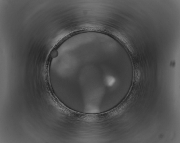 X0000091081074200708271231