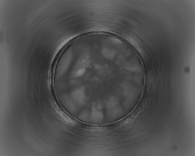 X0000091081076200708271231