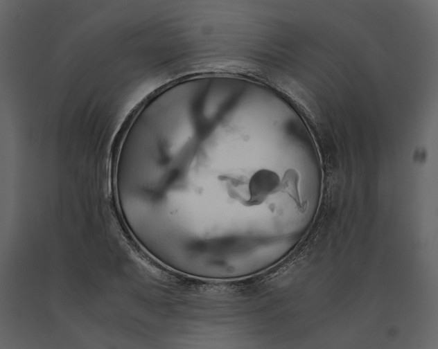 X0000091081079200708271231