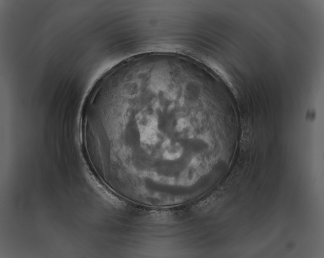 X0000091081080200708271231