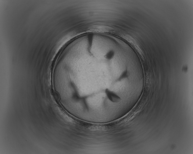 X0000091081083200708271231