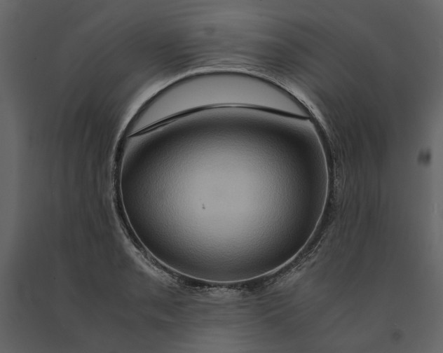 X0000091081085200708271231