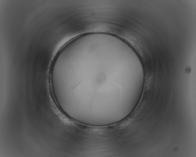 X0000091081086200708271231