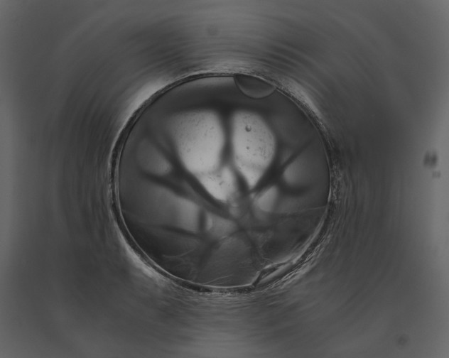 X0000091081087200708271231