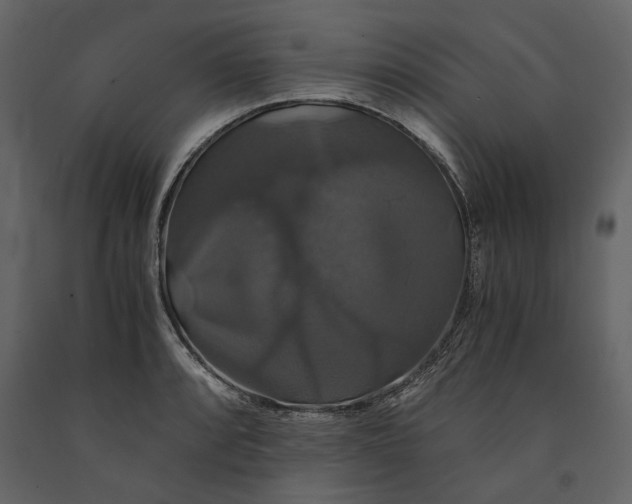 X0000091081088200708271231