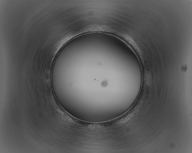 X0000091081089200708271231