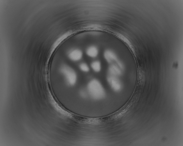 X0000091081090200708271231