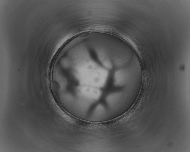 X0000091081091200708271231