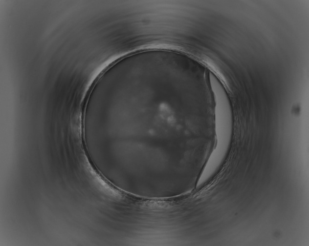 X0000091081092200708271231