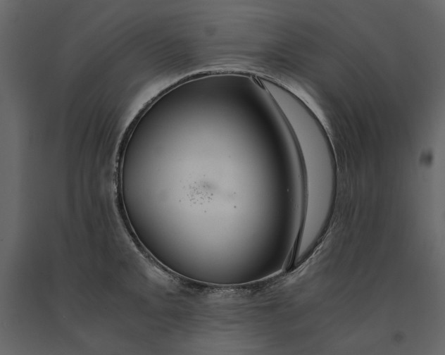 X0000091081093200708271231